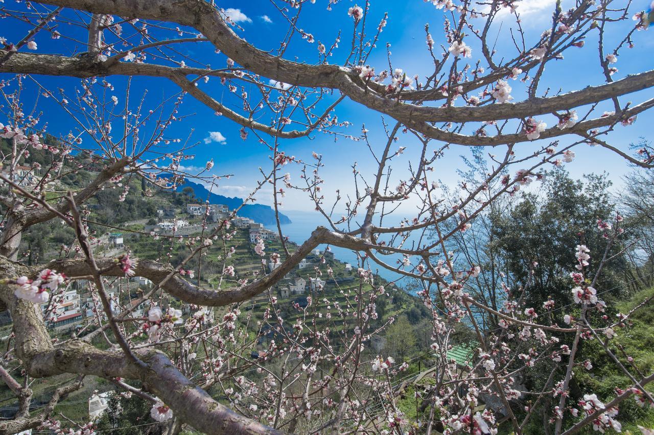 Apartmán Casa Pina Amalfi Exteriér fotografie